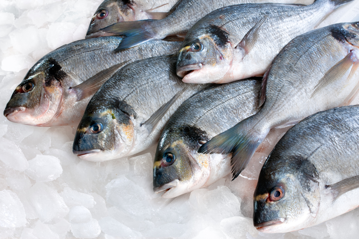 NG - Allocates $1.2bn Annually on Fish Imports, as Local Production Only Meets 45% Demand