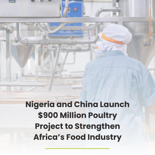Nigeria and China Launch $900 Million Poultry Project to Strengthen Africa’s Food Industry