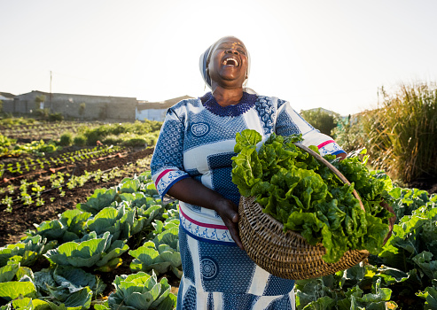 NEW AGRICULTURAL INSTITUTES UNVEILED