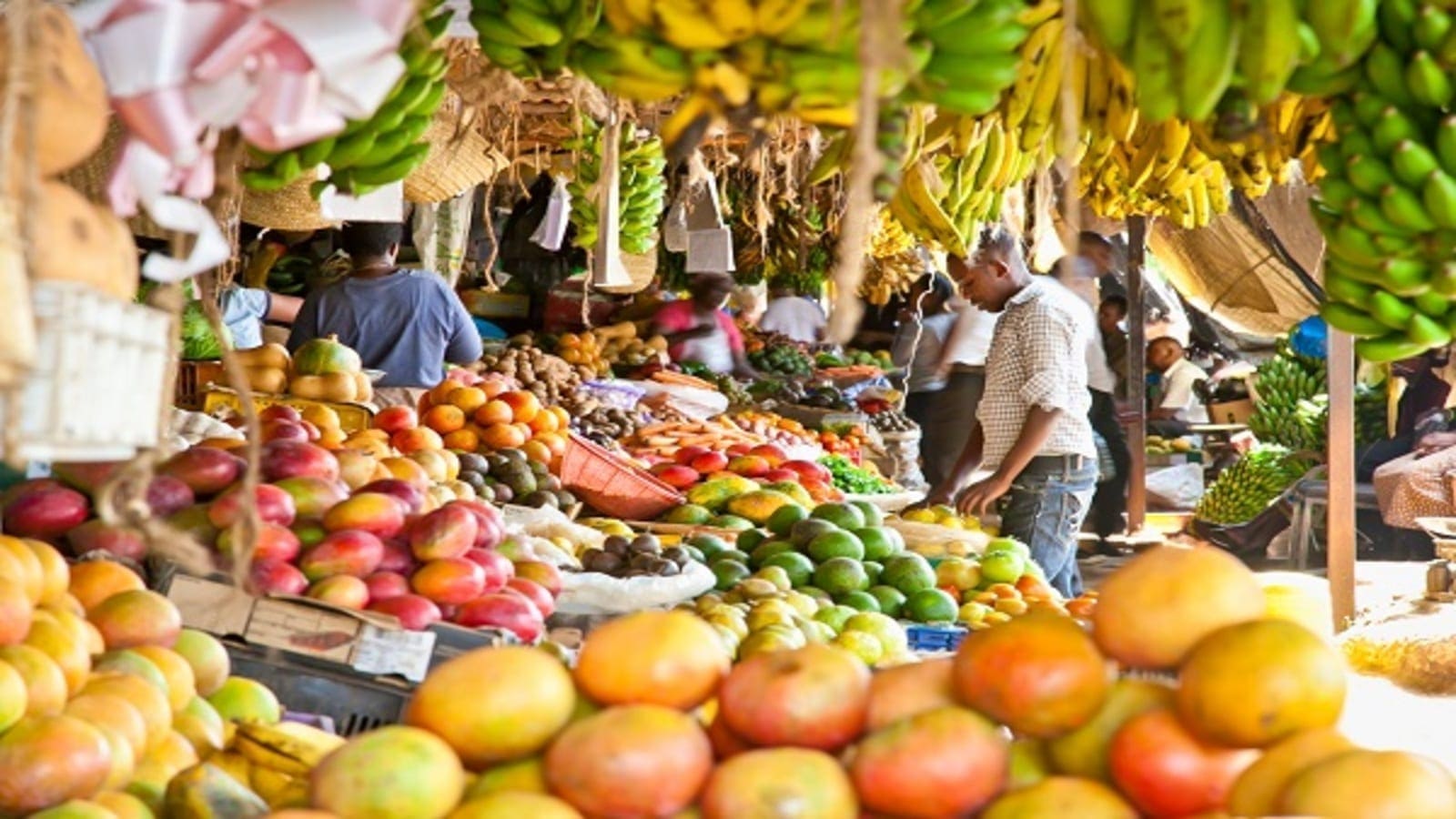 Sub-Saharan Africa’s Food Import Bill Heading to US$65 Billion in 2025